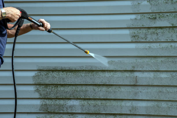 Best Driveway Pressure Washing  in Douglas, MI