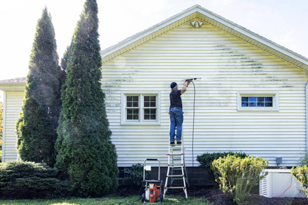 Best Solar Panel Cleaning  in Douglas, MI